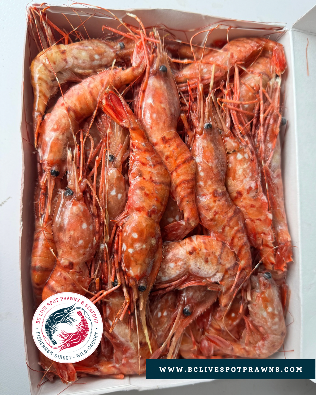 Whole King Shrimp (Frozen)