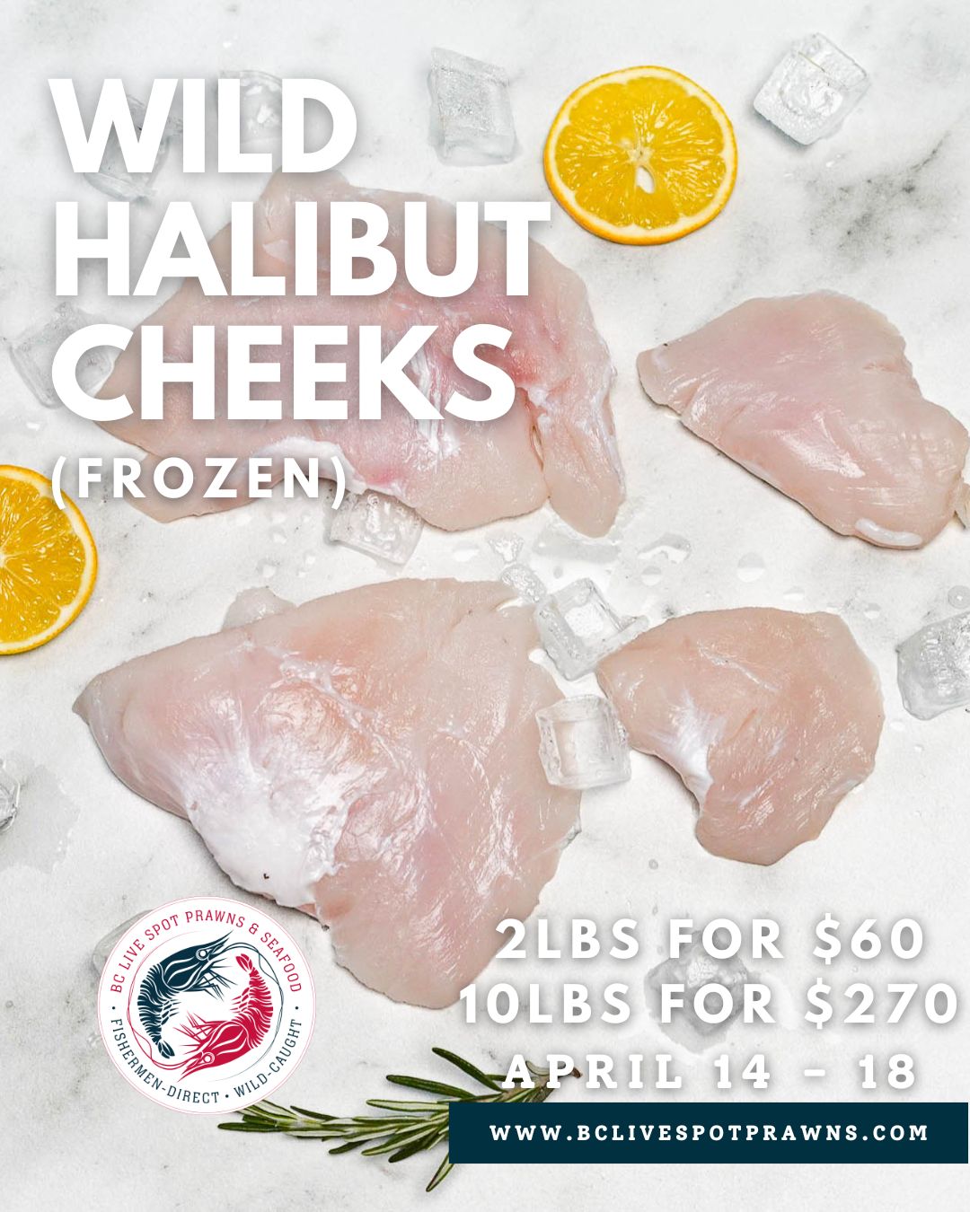 Fishermen Weekly Special