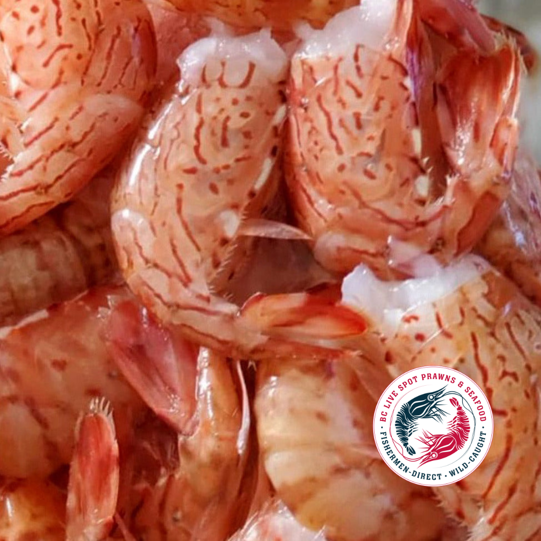 Shrimp Tails (Coonstripe)