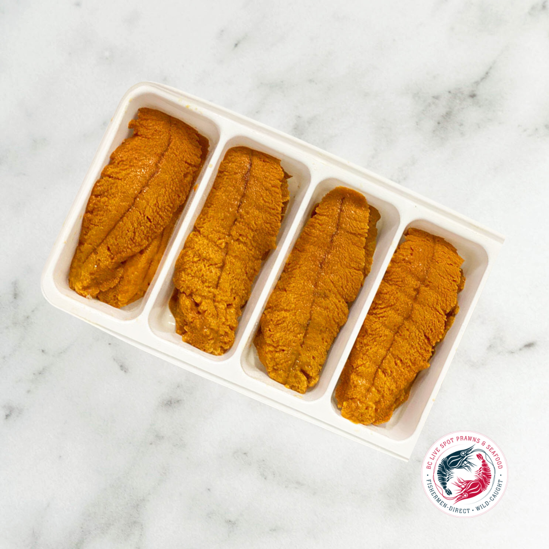 Uni (Sea Urchin)