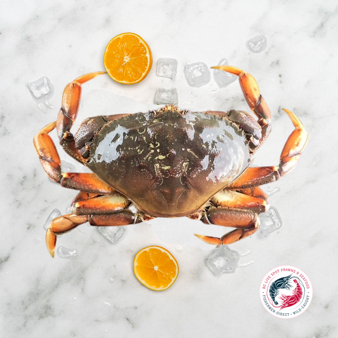 Live Dungeness Crab - Ladner Pick Up