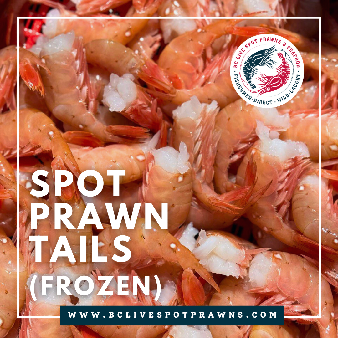 Spot Prawn Tails (Frozen) - BC Live Spot Prawns & Seafood