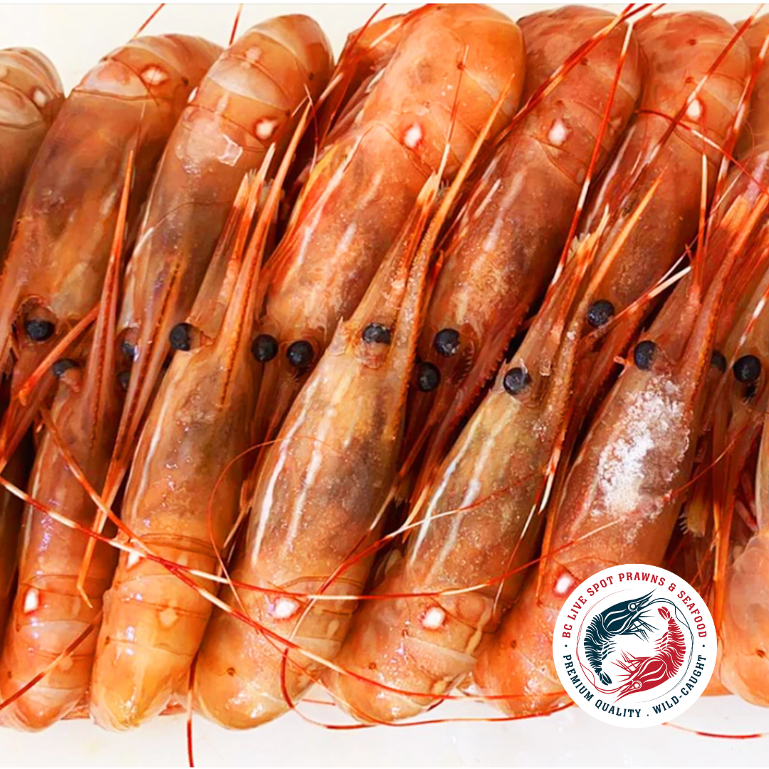 Whole Frozen Spot Prawns (Sashimi-Grade) - BC Live Spot Prawns & Seafood