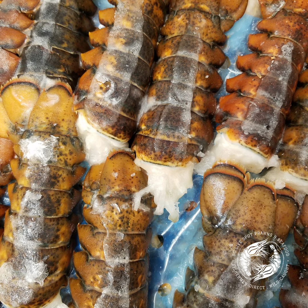 Lobster Tail (Frozen, Wild) - BC Live Spot Prawns & Seafood