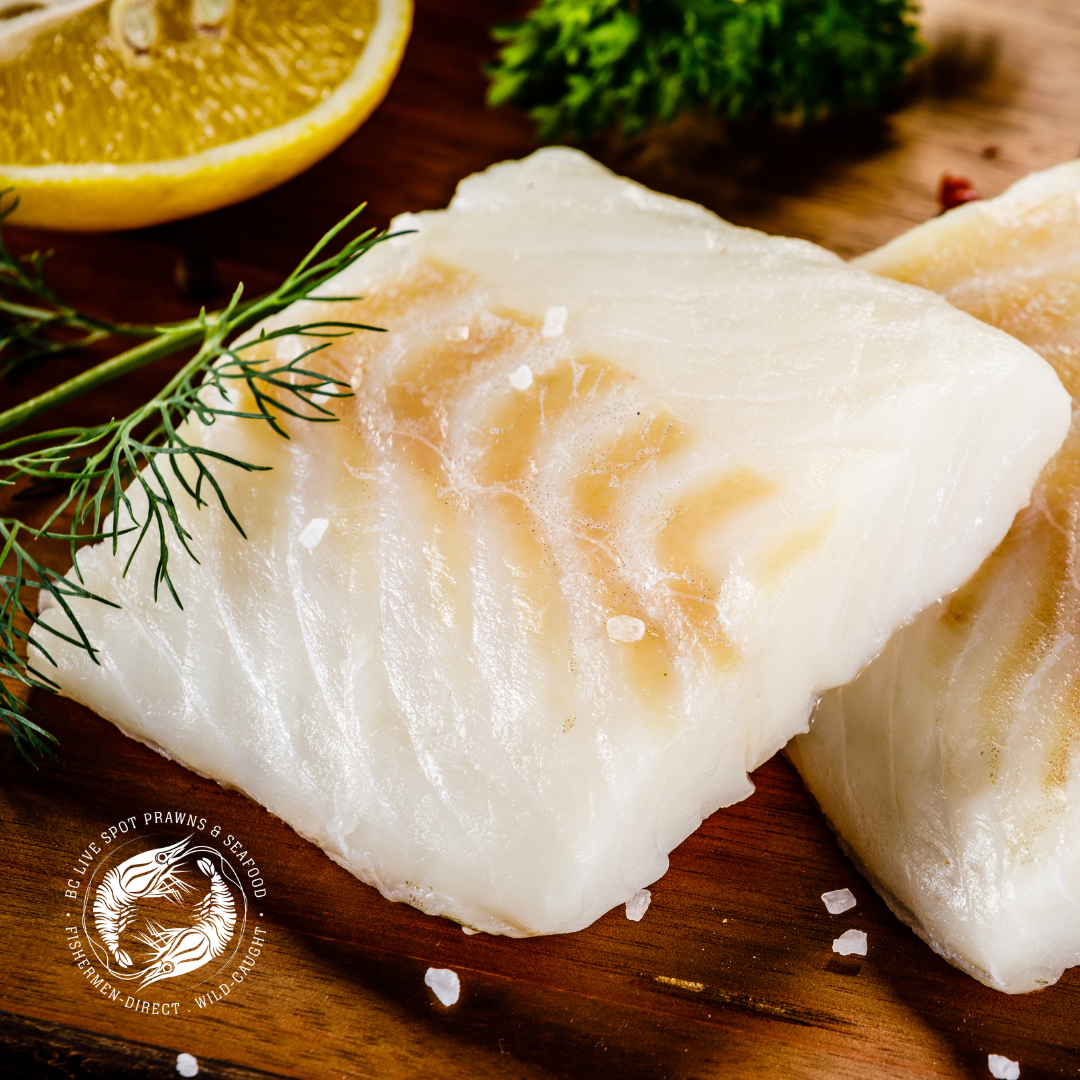 Lingcod (Frozen, Wild) - BC Live Spot Prawns & Seafood