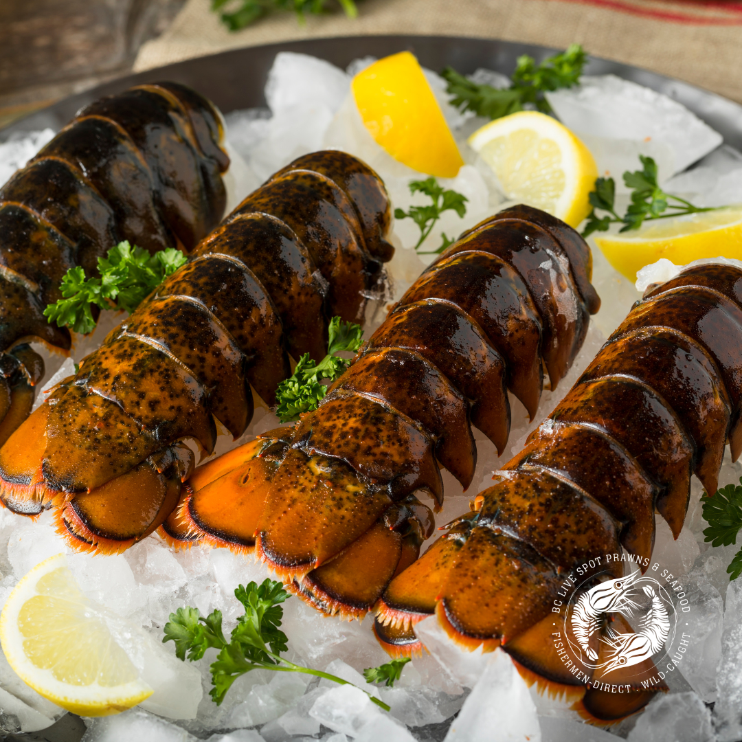 Lobster Tail (Frozen, Wild) - BC Live Spot Prawns & Seafood