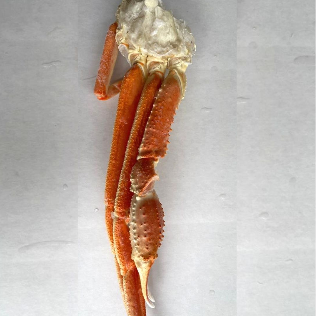 Snow Crab Clusters (Frozen, Cooked)
