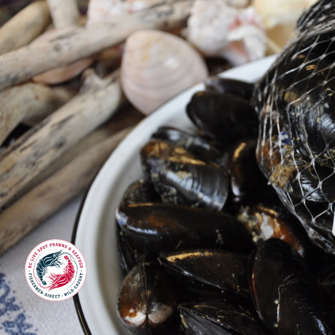 Salt Spring Mussels (Live - Fresh)