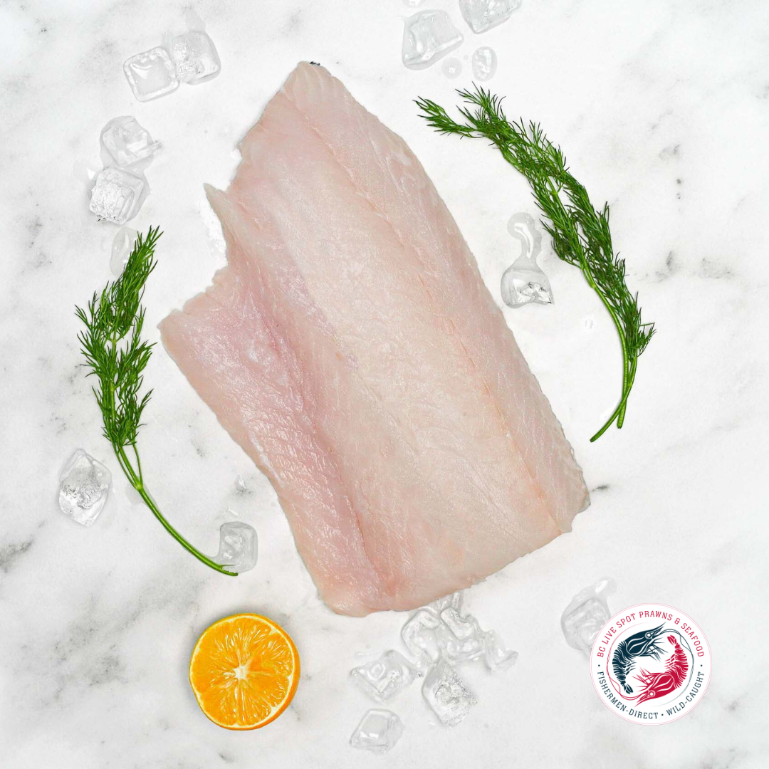 Lingcod (Frozen, Wild) - BC Live Spot Prawns & Seafood