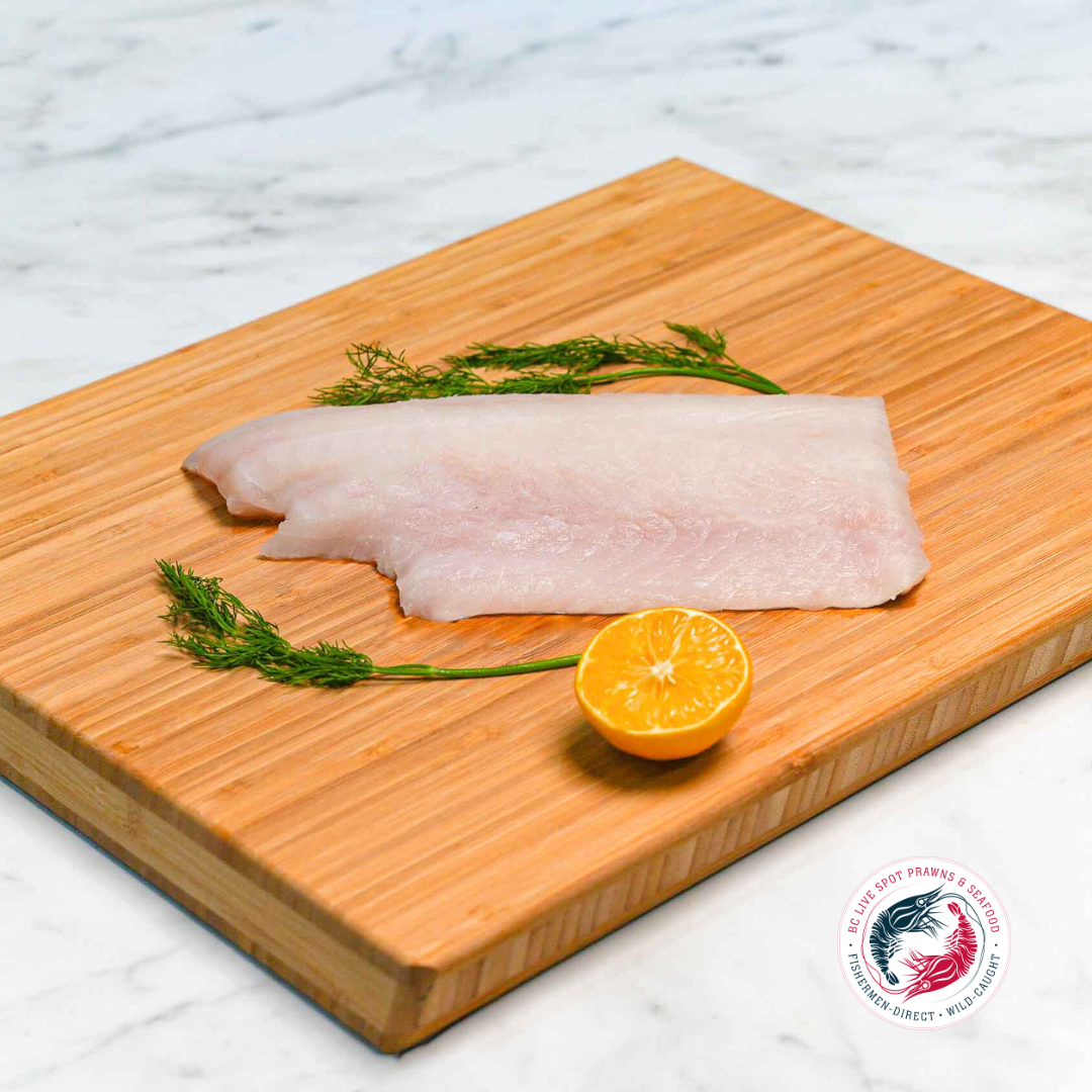Lingcod (Frozen, Wild) - BC Live Spot Prawns & Seafood