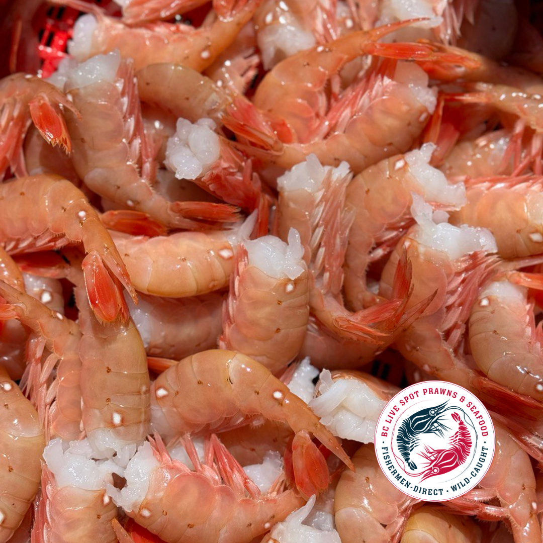 Spot Prawn Tails (Frozen) - BC Live Spot Prawns & Seafood