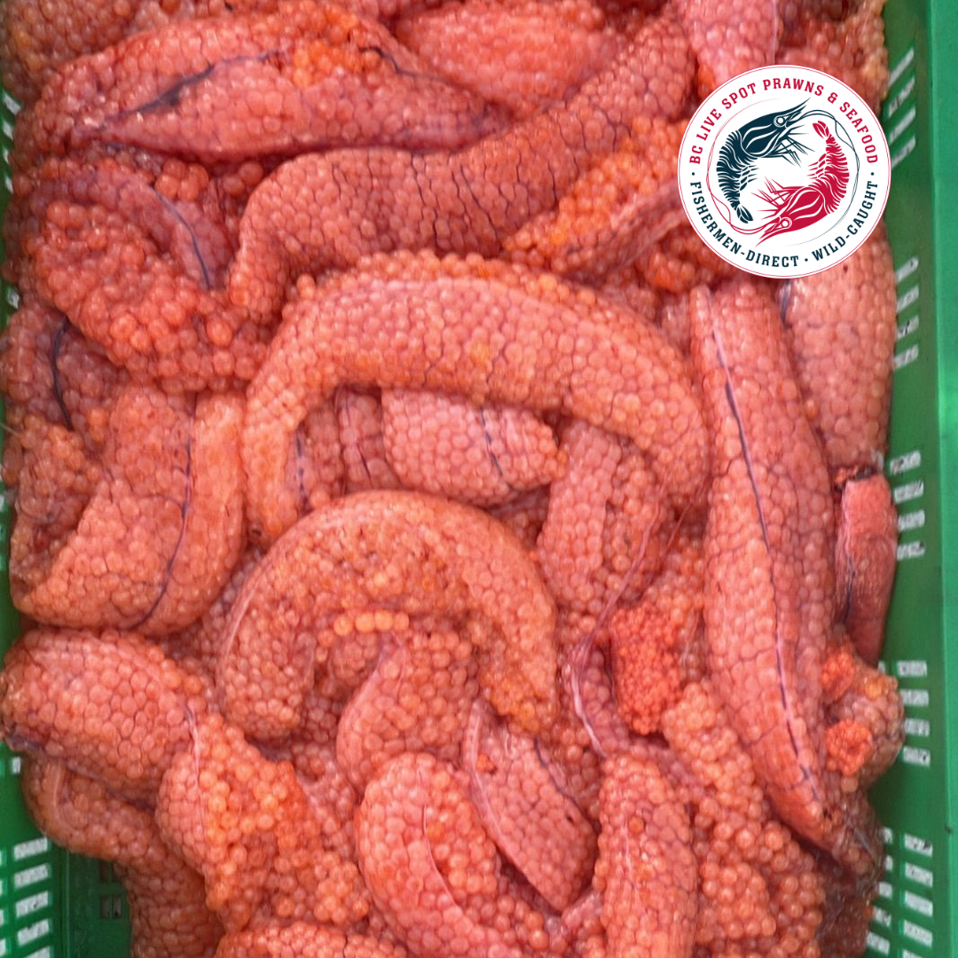 Wild Chum Salmon Roe (Fresh, Raw)