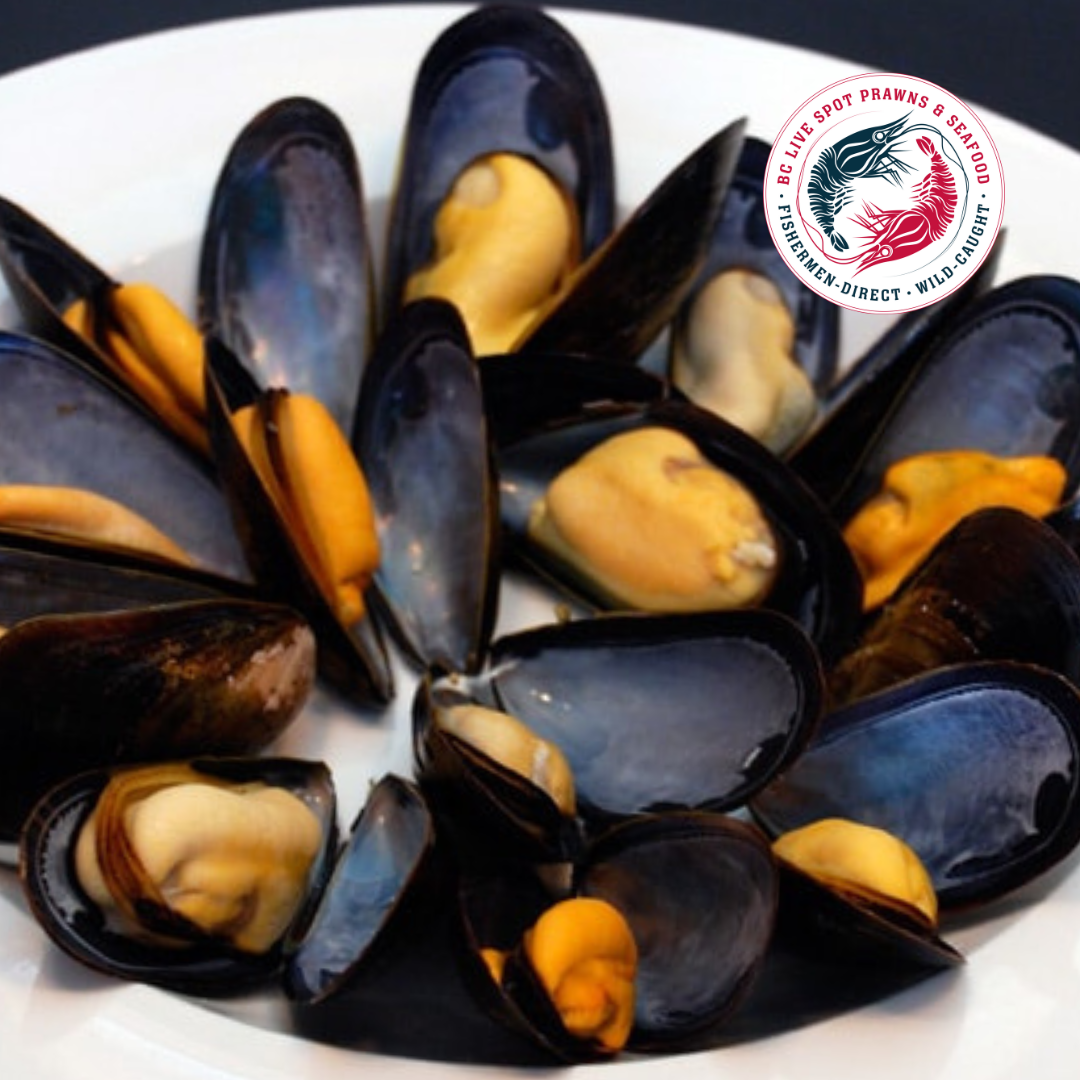 Salt Spring Mussels (Live - Fresh)