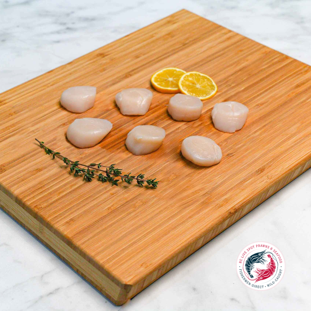 Scallops (Wild) - BC Live Spot Prawns & Seafood