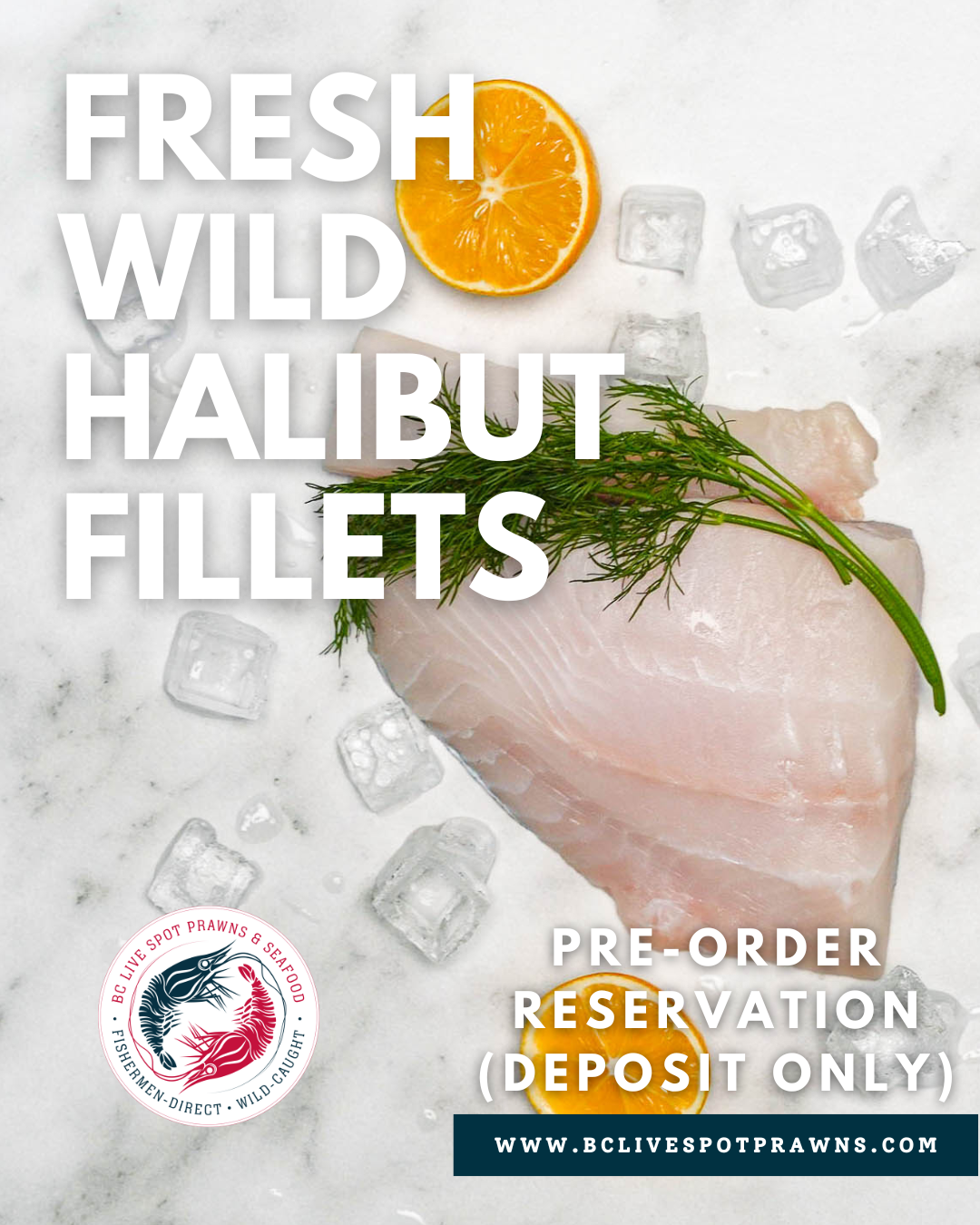 Wild Halibut Fillets (Fresh)