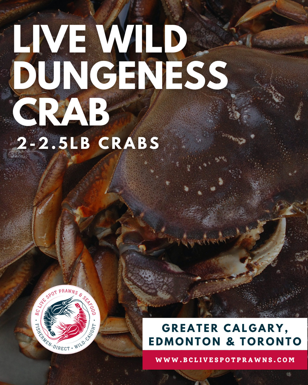 Live Dungeness Crab - Calgary/Edmonton/Toronto Home Delivery