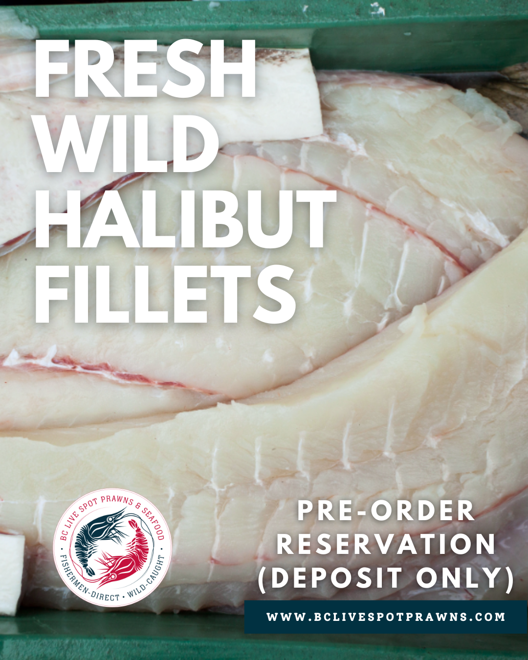 Wild Halibut Fillets (Fresh)