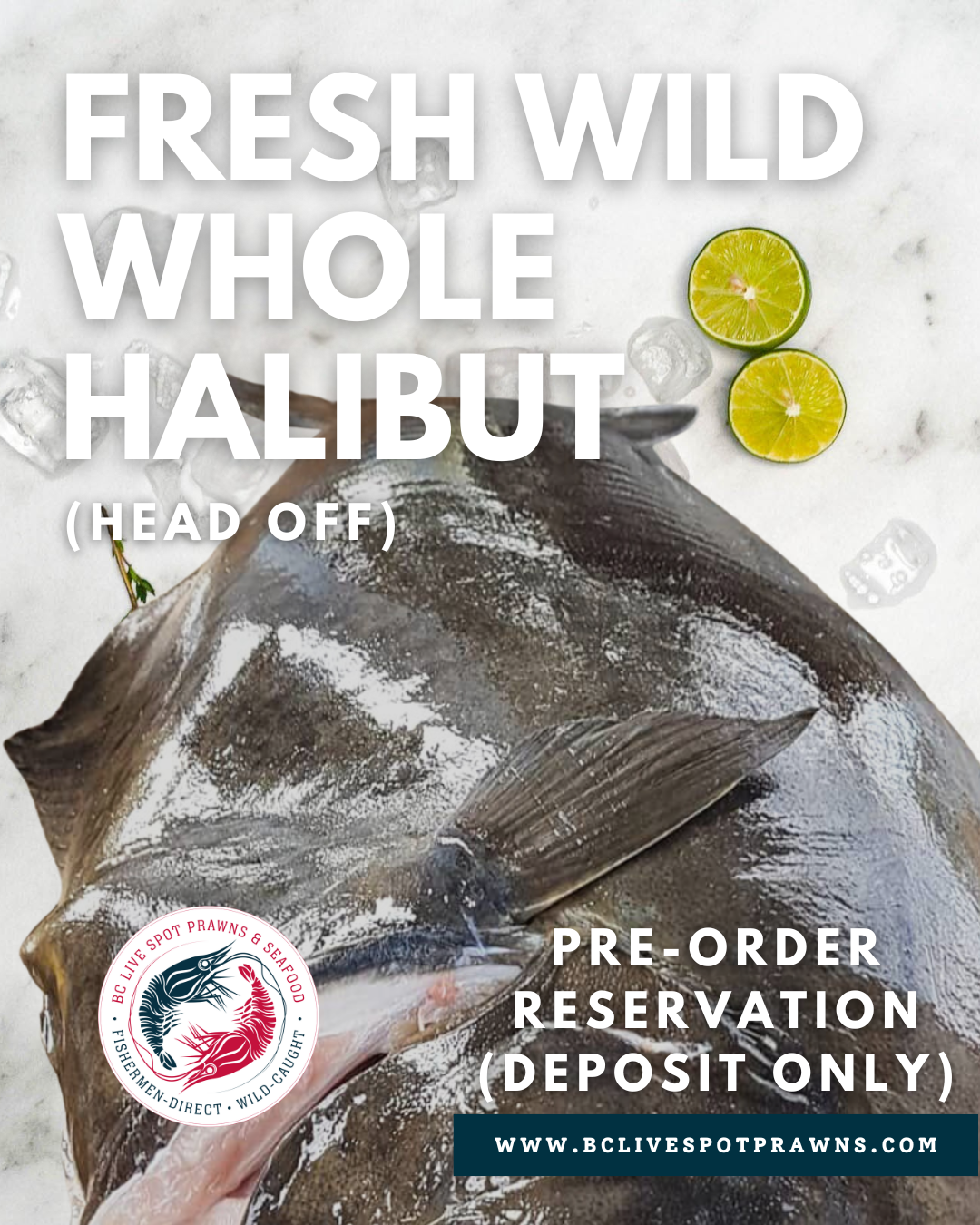 Wild Whole Halibut (Fresh)