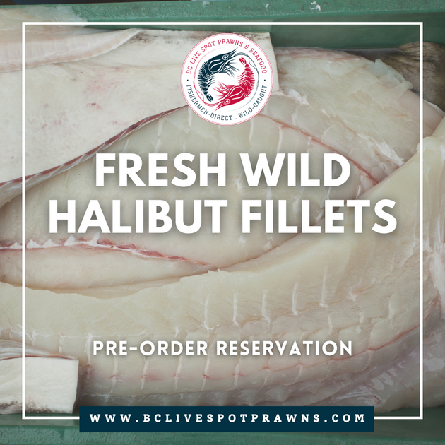 Fresh Wild Halibut (Seasonal) 2024