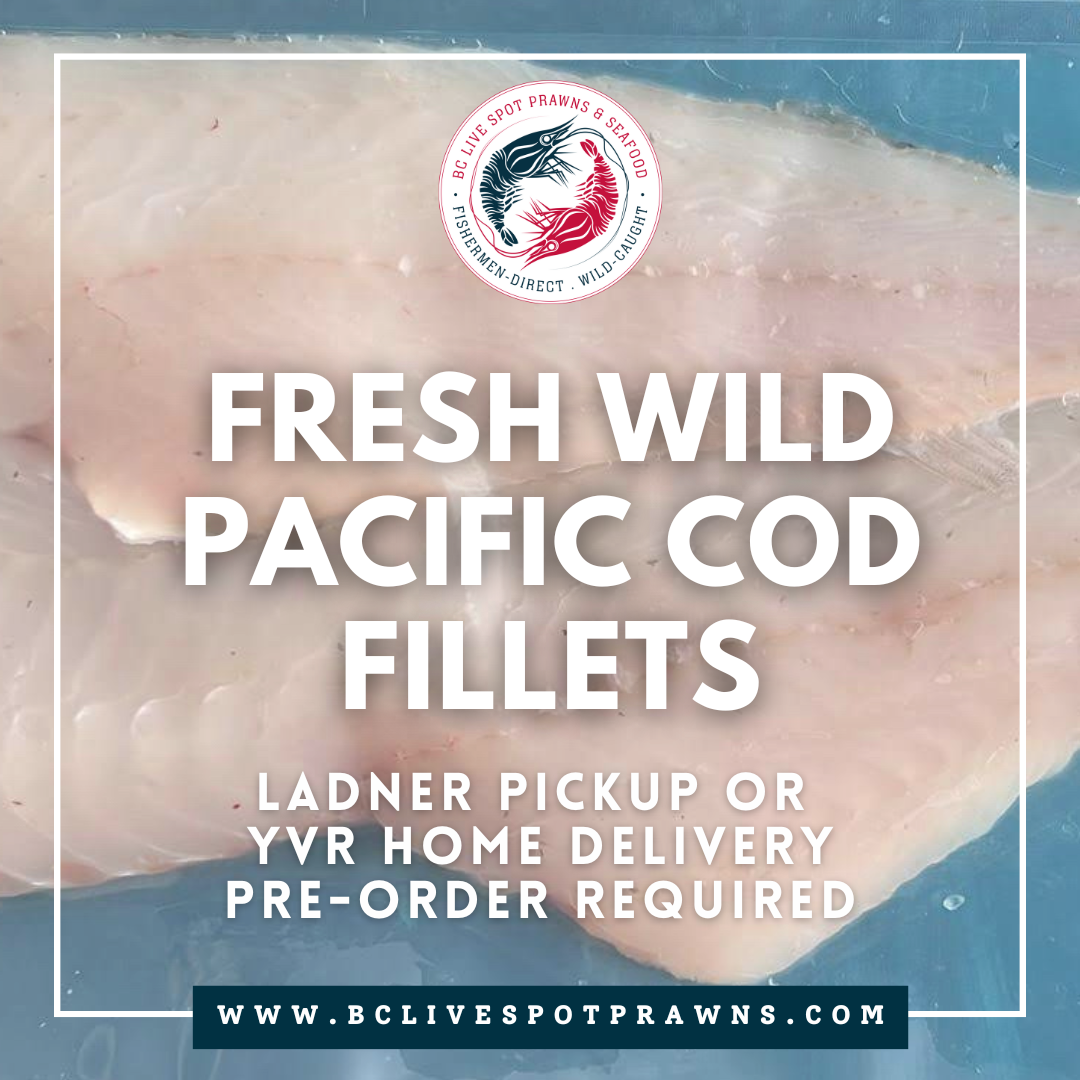 Pacific Cod Fillets (Fresh)