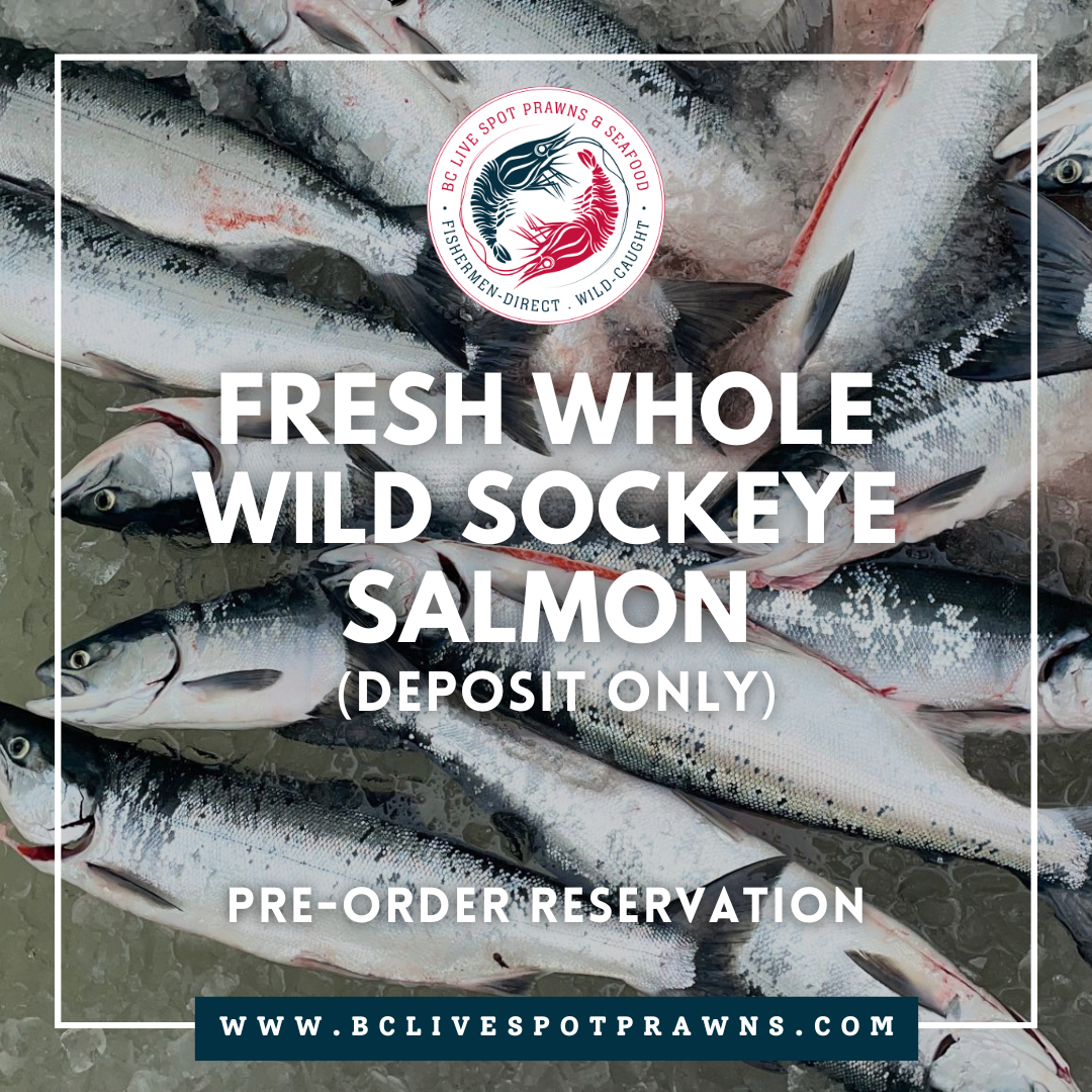 Wild Sockeye Salmon (Whole, Fresh) - BC Live Spot Prawns & Seafood