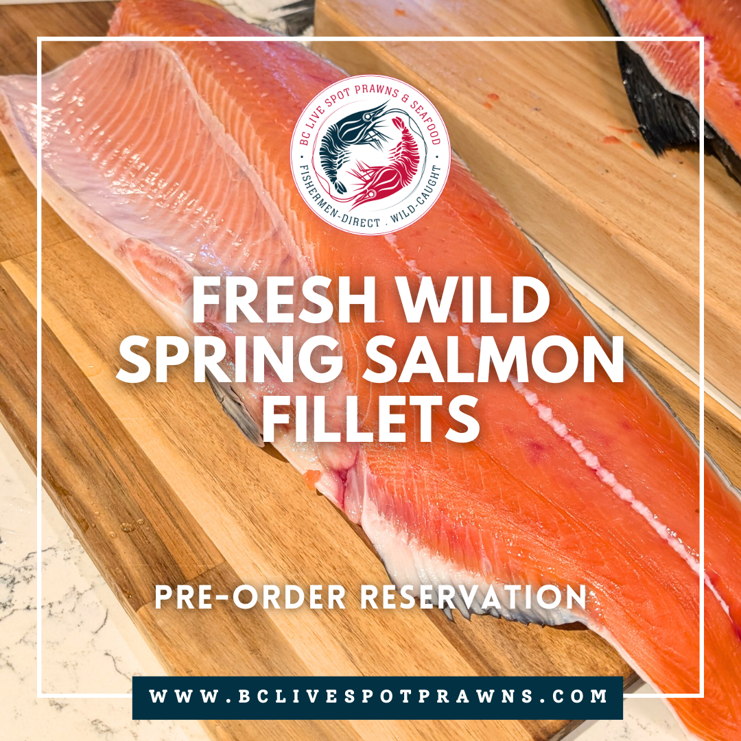 Wild Spring Salmon (Fillets, Fresh) - BC Live Spot Prawns & Seafood