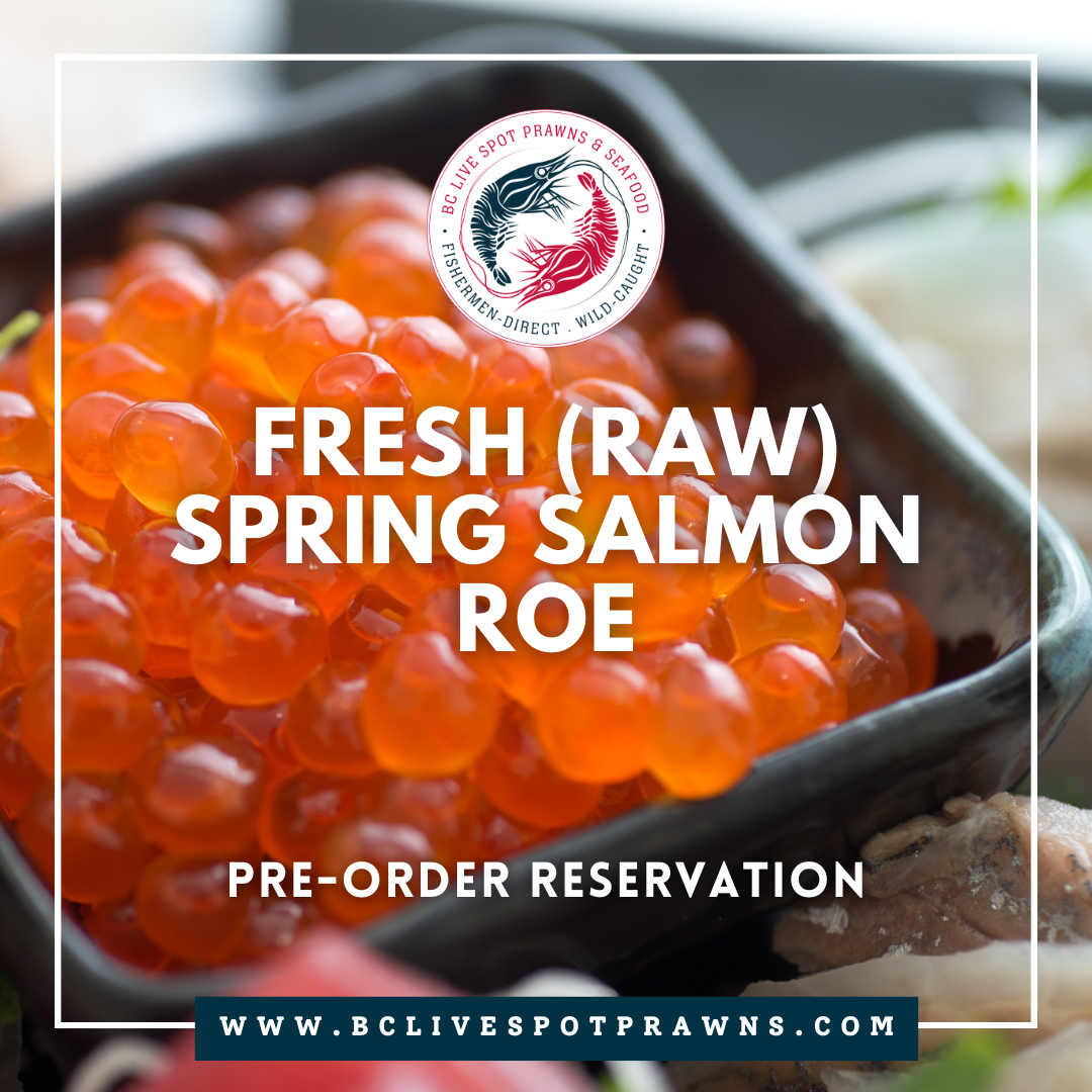 Wild Spring Salmon Roe (Fresh, Raw) - BC Live Spot Prawns & Seafood
