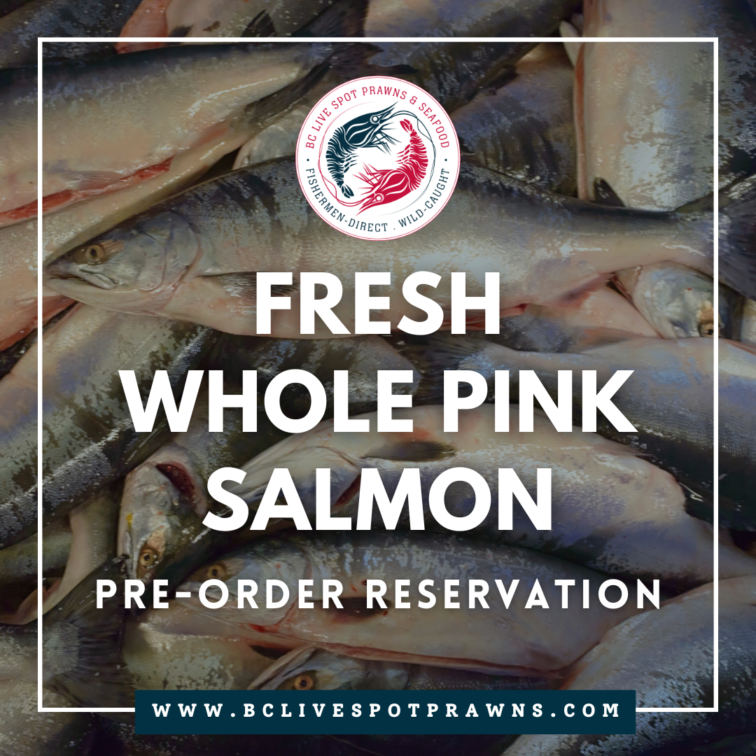 Wild Pink Salmon (Fresh, Whole)