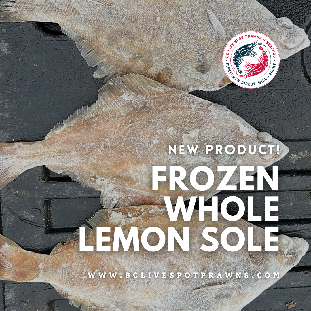 Whole Lemon Sole (Wild, Frozen) - BC Live Spot Prawns & Seafood