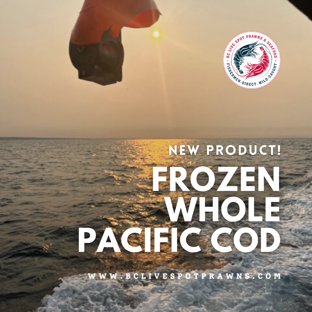 Whole Pacific Cod Fish (Frozen)