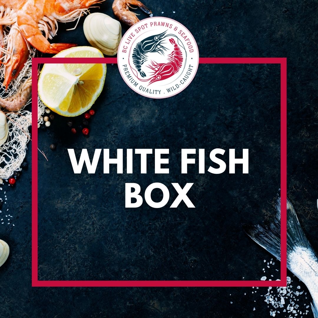 White Fish Box  BC Live Spot Prawns & Seafood