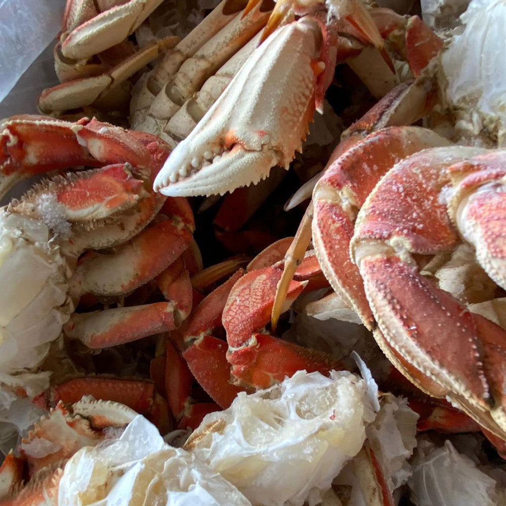 Buy Seafood: Dungeness Crab Clusters @ BC Live Spot Prawns & Seafood