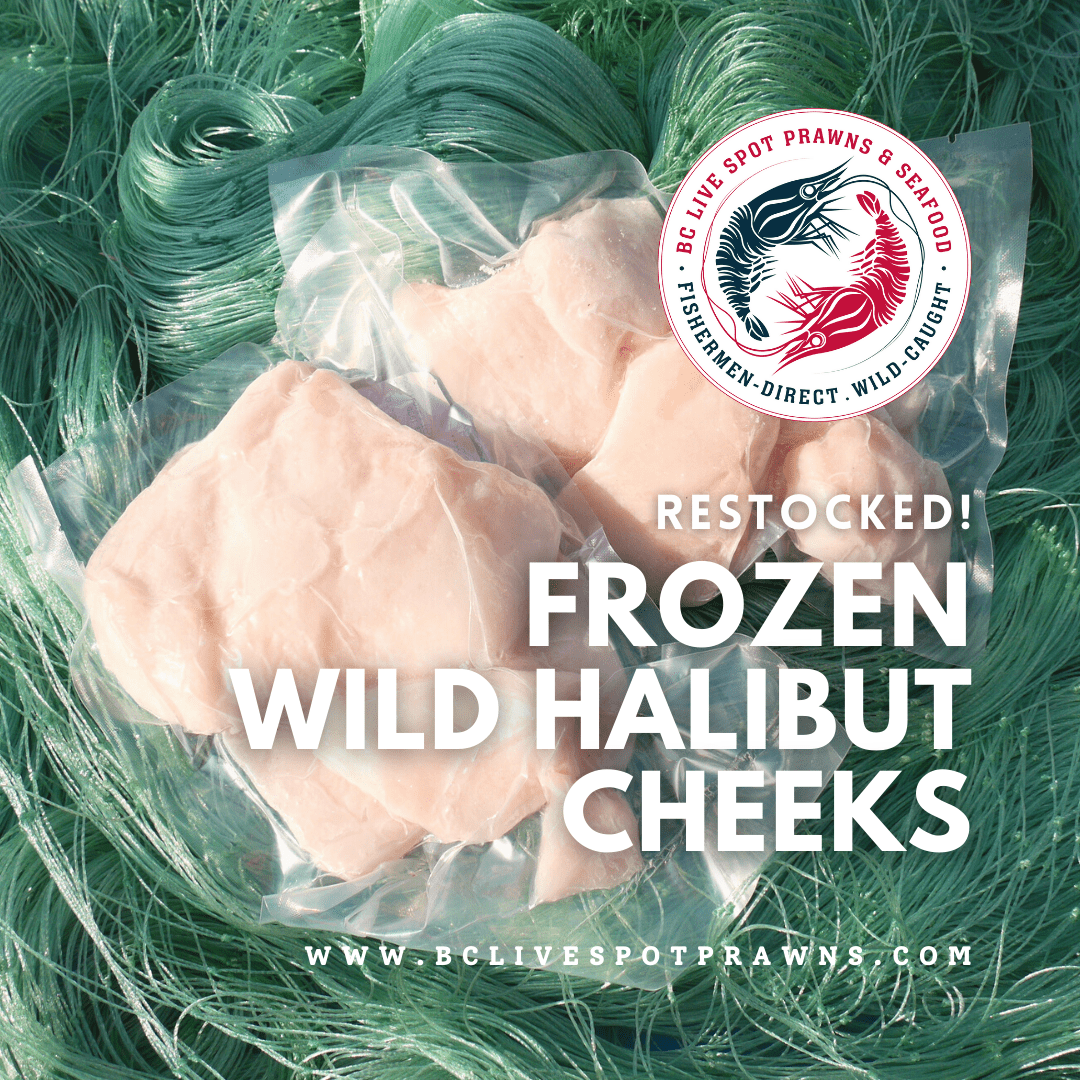 Buy Wild Pacific Halibut Online Frozen Halibut Cheeks Pickup/Delivery