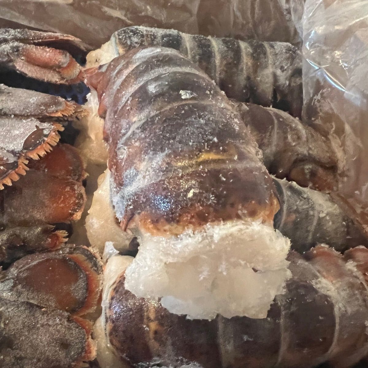 Lobster Tail Buy Lobster Tail in Vancouver Calgary Edmonton Toronto