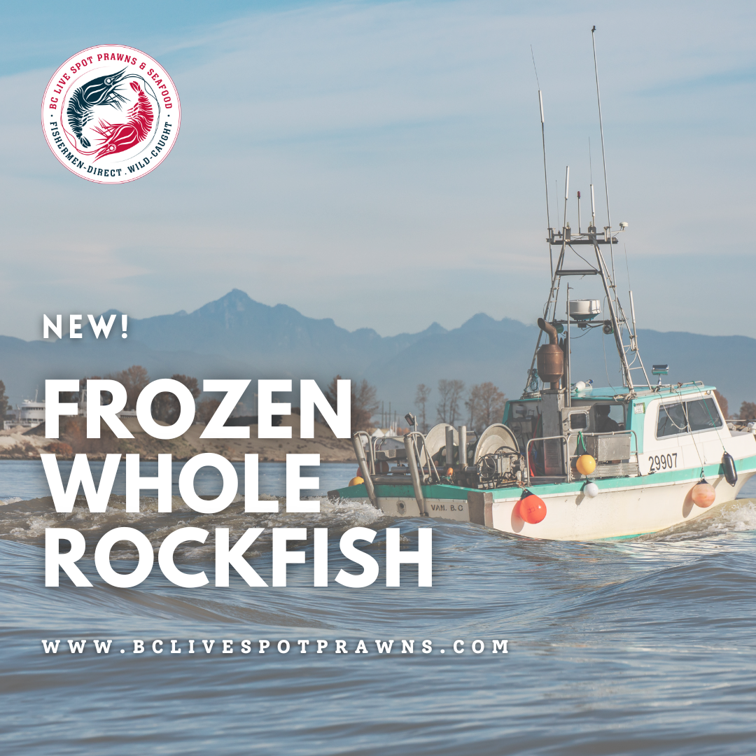Buy Frozen Wild Rockfish Online  Fresh Pacific Ocean Perch Online