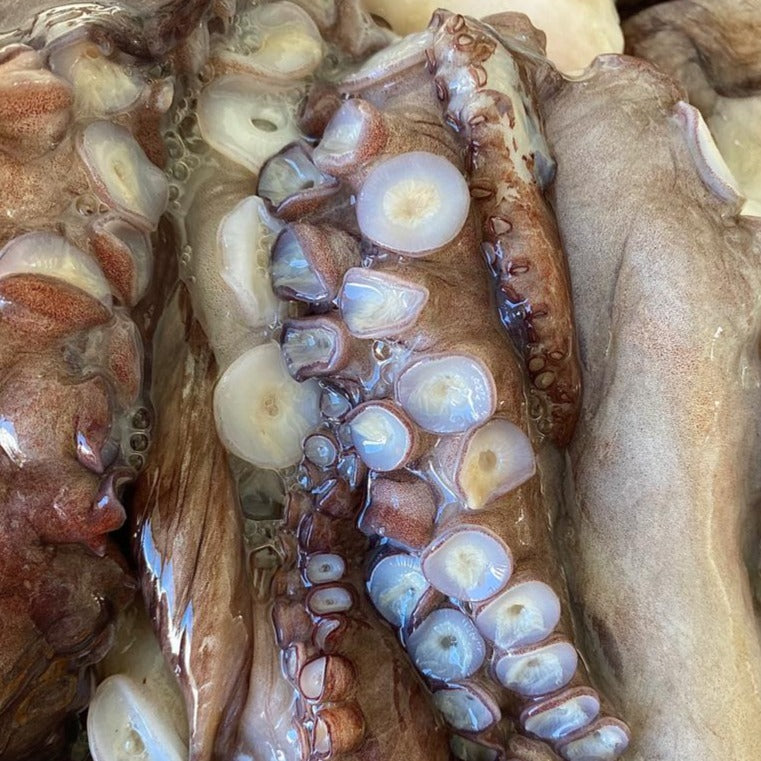 Buy Frozen Octopus online
