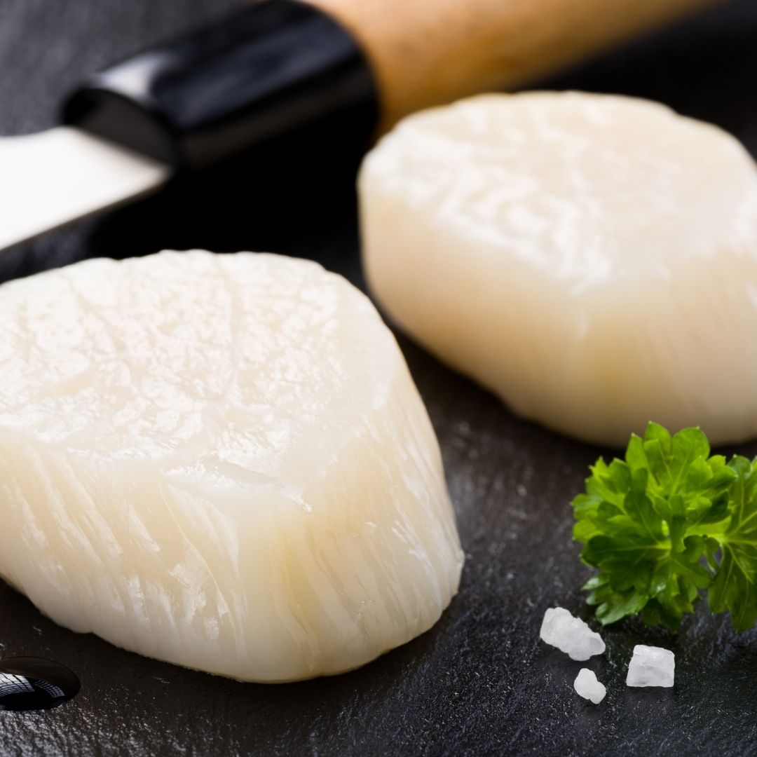 Wild Scallops