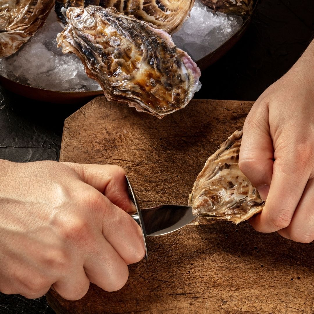 Buy Shucked Fresh Oysters