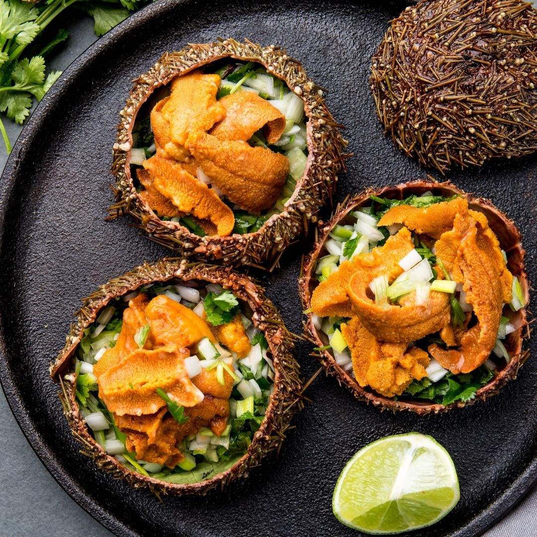 buy online Uni (Sea Urchin)