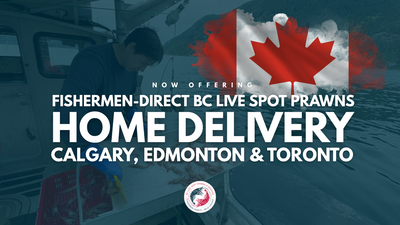 News: Live Spot Prawn Home Delivery to Calgary, Edmonton & Toronto