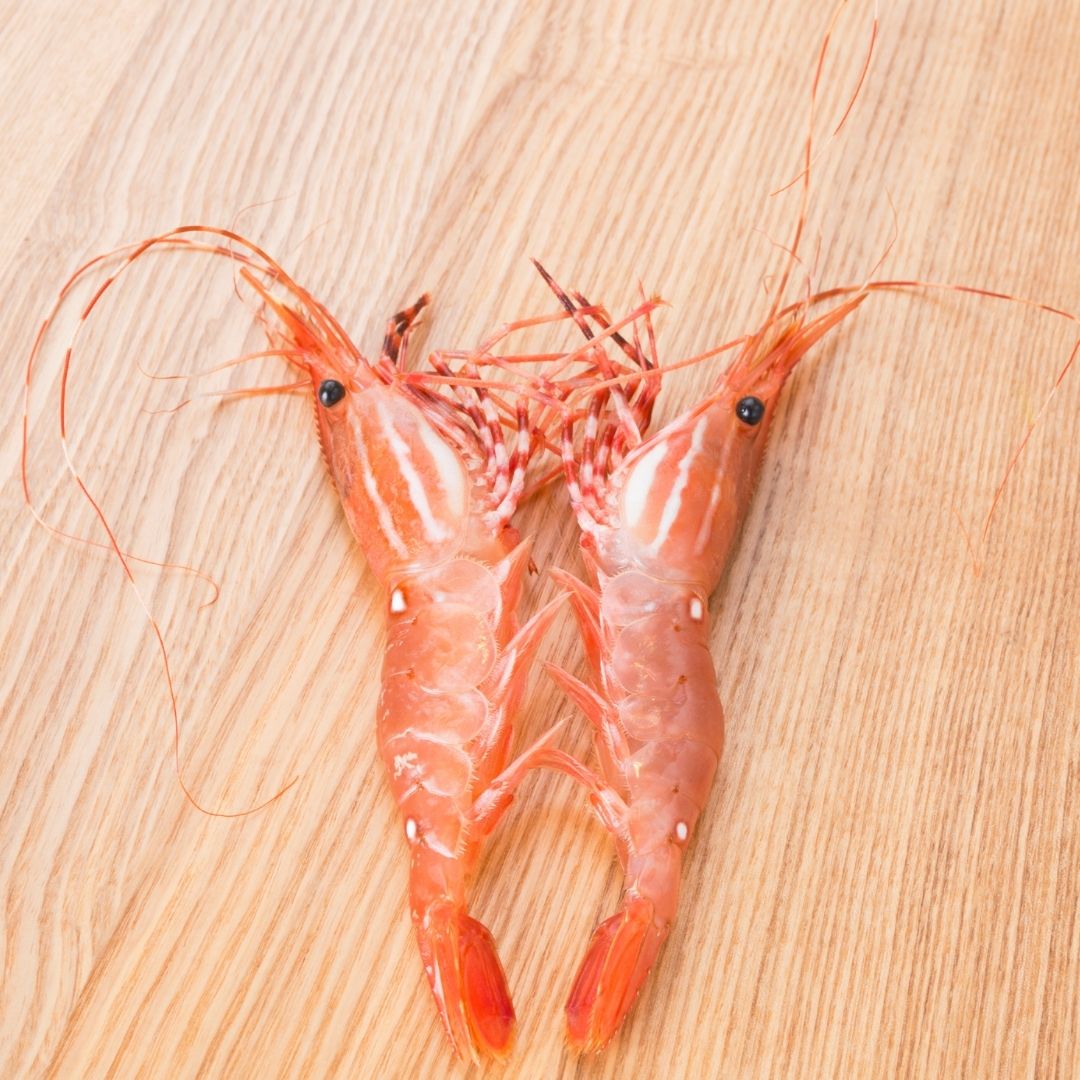Wild caught BC spot prawns are sustainably caught and frozen