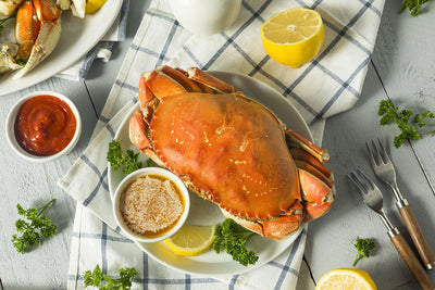 Dungeness Crab: Everything You Need to Know