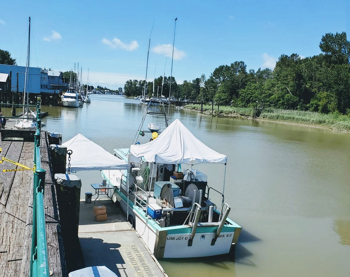 Buy Your BC Live Spot Prawns Fishermen-Direct! BC Live Spot Prawns & Seafood