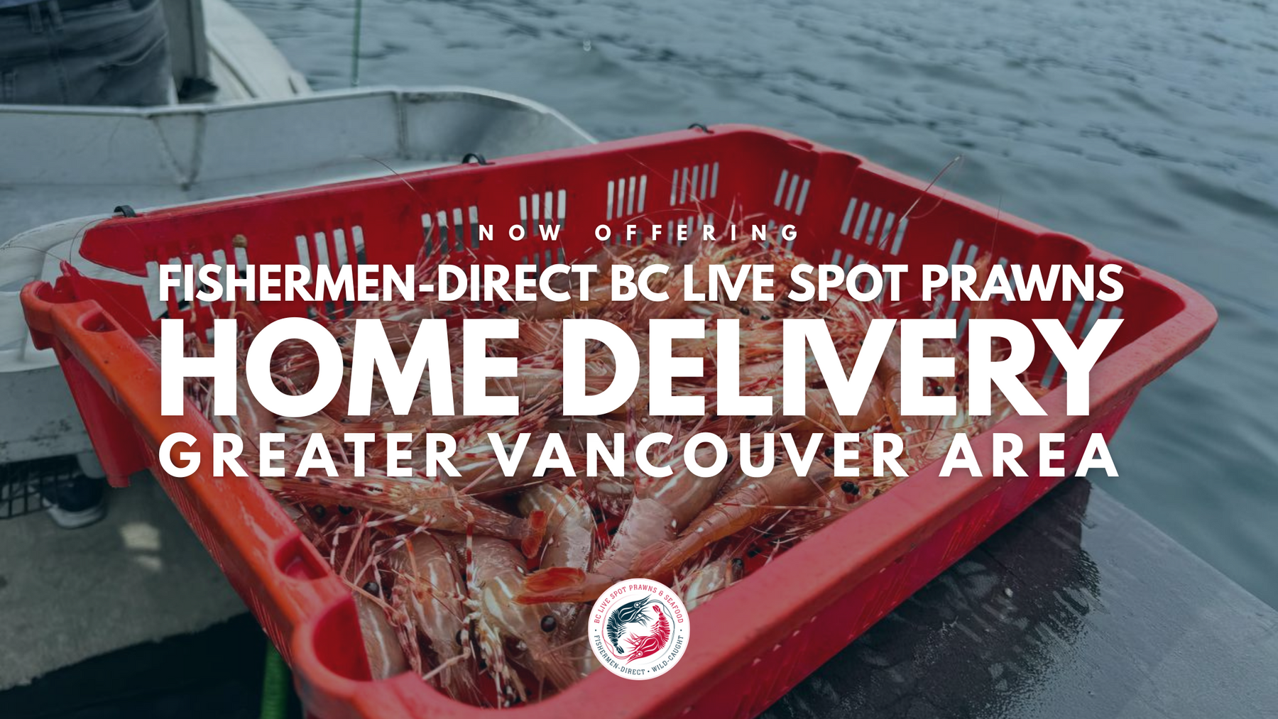 Live Spot Prawns - 2026 (Vancouver Home Delivery)