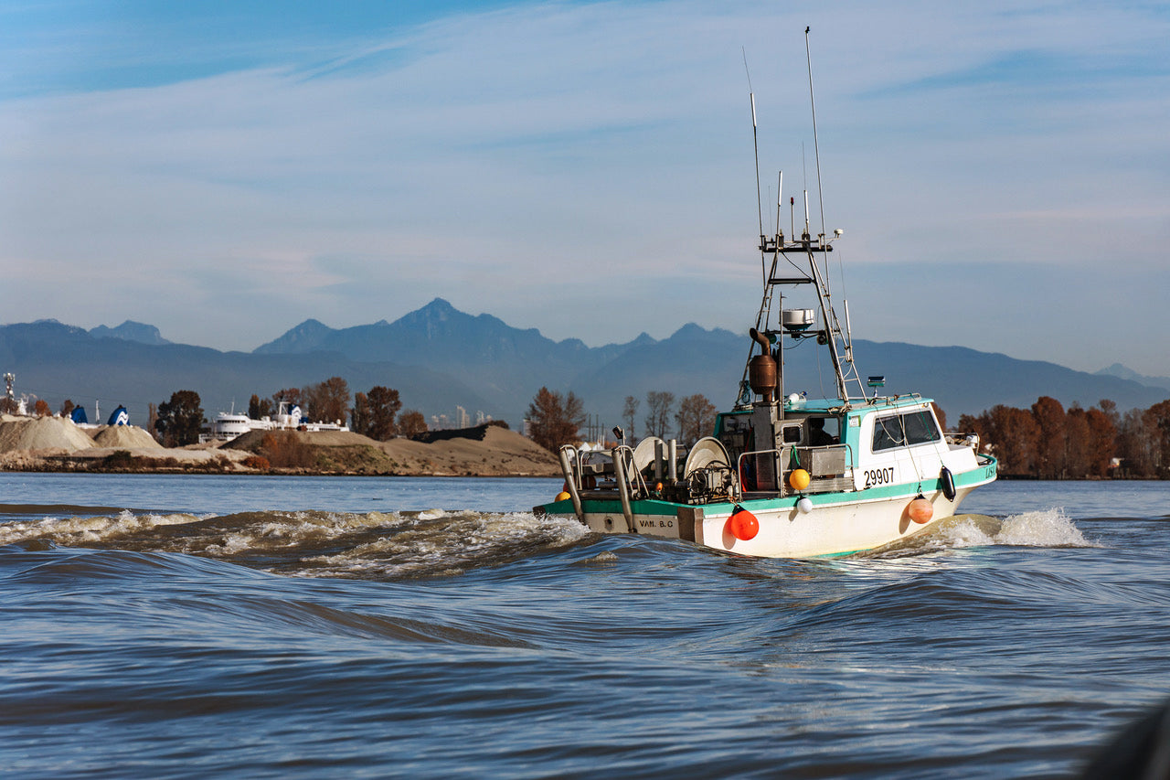 Fish Invermere Bc Buy Seafood - Buy Fresh, Local Seafood | Delivery Vancouver & Alberta