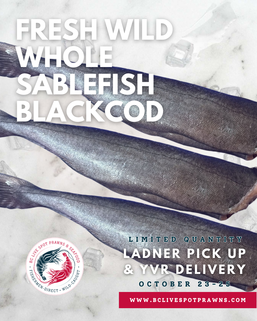 Whole Sablefish (Fresh)