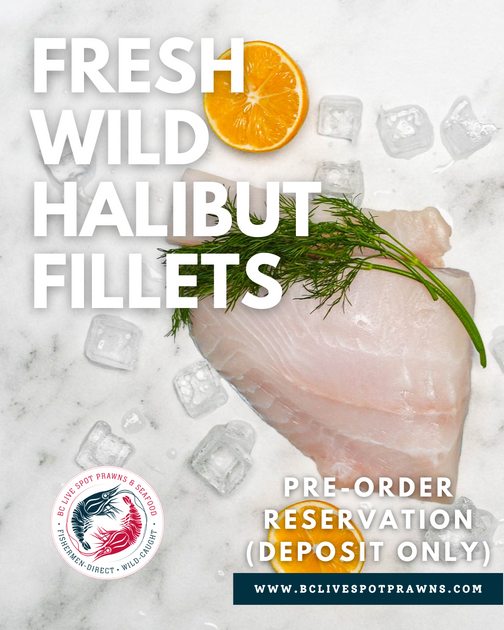 Fresh Wild Halibut (Seasonal) 2025 – Tagged 