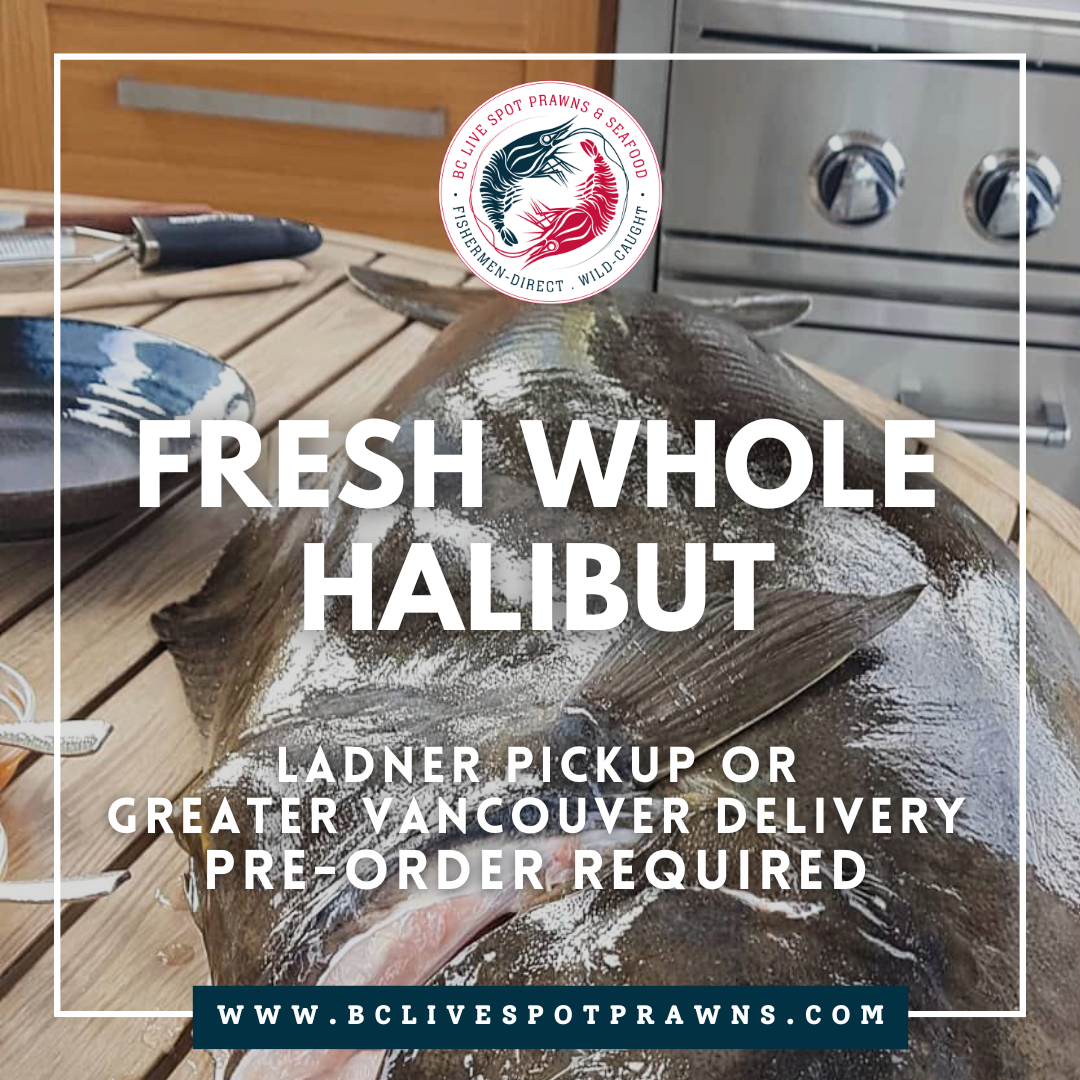 Buy Wild Pacific Halibut Online Fresh Whole Halibut For Sale