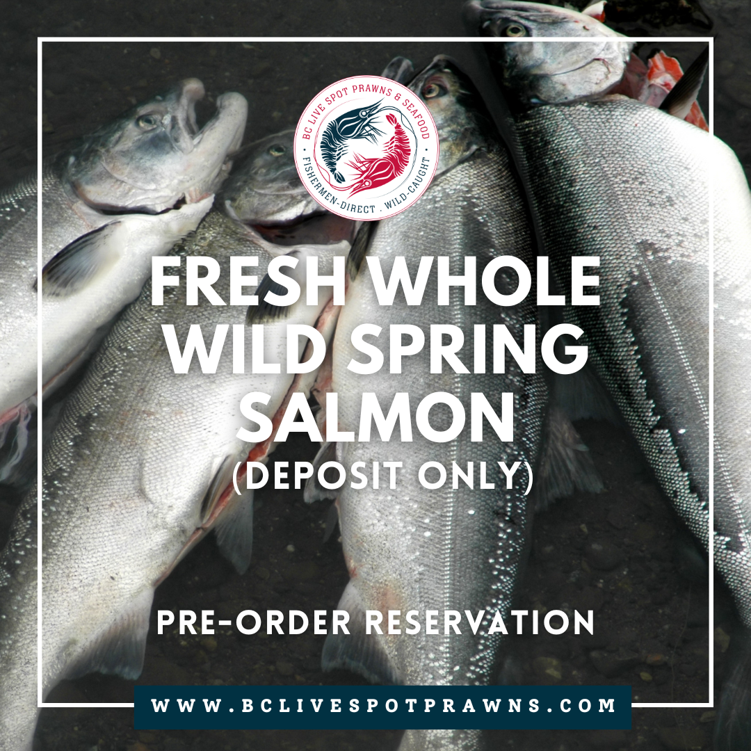 Wild Spring Salmon (Whole, Fresh) - BC Live Spot Prawns & Seafood