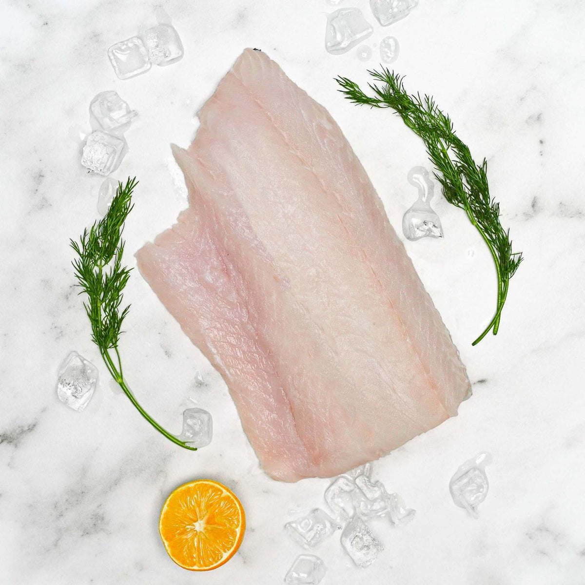 Wild Lingcod - Buy Wild Caught Ling Cod Online | Frozen Lingcod Online